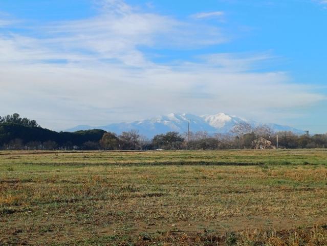 Villeneuve de la Raho Vente Terrain 66