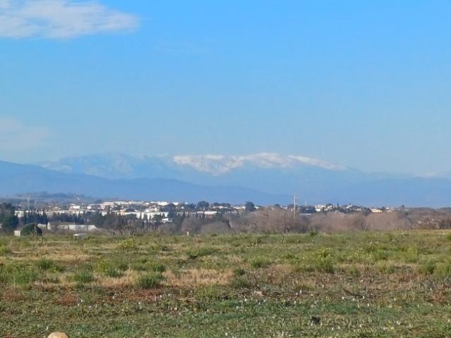 Villeneuve de la Raho Vente Terrain 66