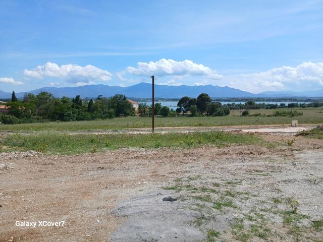 Villeneuve de la Raho Vente Terrain 66