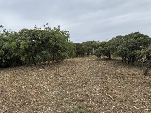 Villeneuve lès Avignon Vente Terrain 30