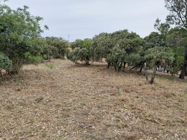 Villeneuve lès Avignon Vente Terrain 30