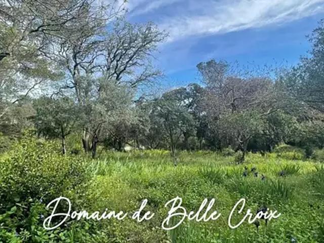 Villeneuve lès Avignon 30400 Achat / Vente terrain