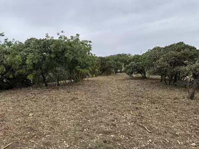 Villeneuve lès Avignon 30400 Programme neuf terrain neuf à vendre