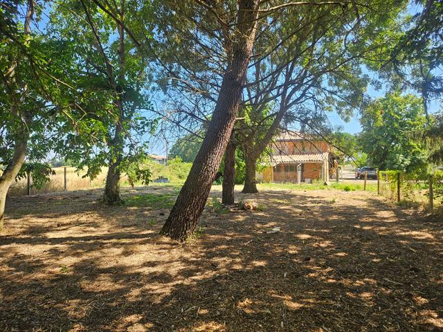 Villeneuve lès Bouloc Vente Maison 31