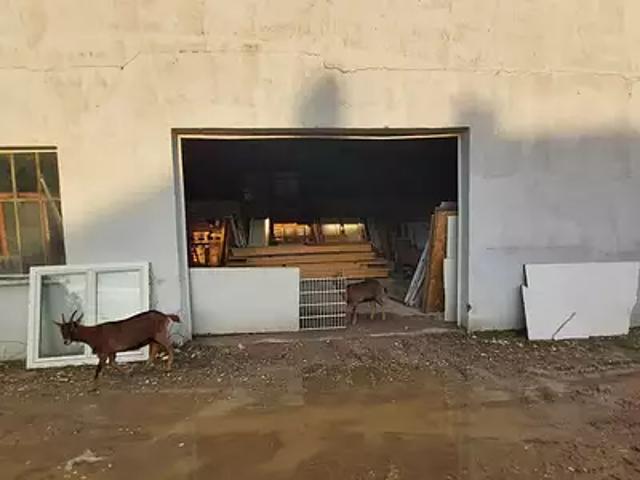 Villeneuve sur Yonne 89500 Achat / Vente terrain