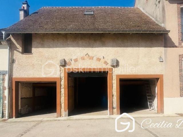 Villeneuve sur Yonne Vente Parking / Garage 89