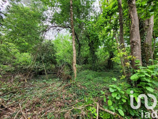 Villeneuve sur Bellot Vente Terrain 77