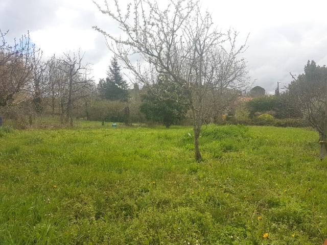 Villeneuve Tolosane Vente Terrain 31