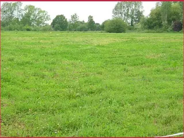 Villeneuve Tolosane 31270 Programme neuf terrain neuf à vendre