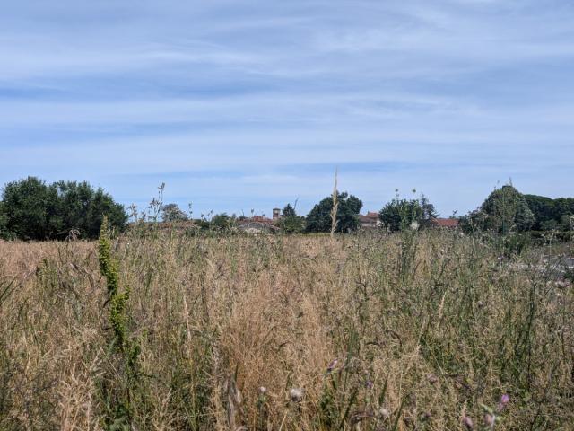 Villeneuve Vente Terrain 01