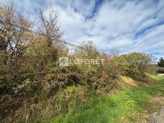 Villebrumier Vente Terrain 82