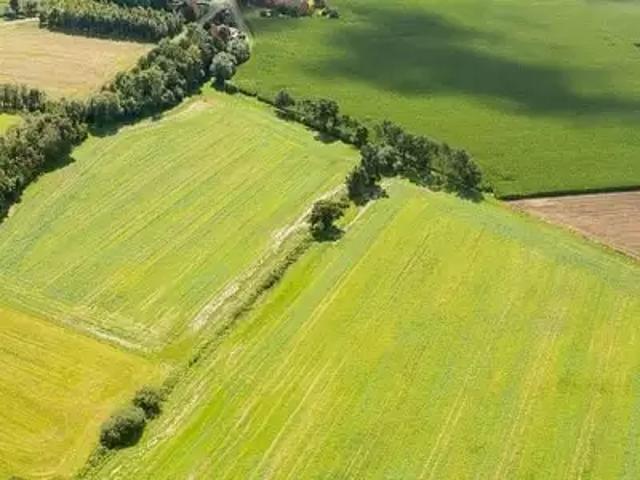 Villedoux 17230 Programme neuf terrain neuf à vendre