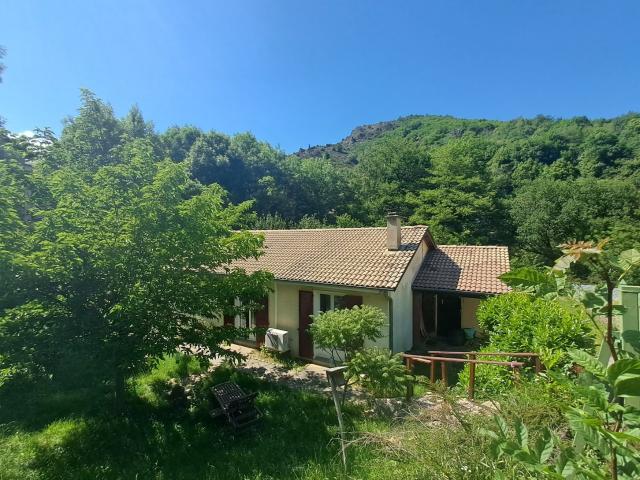 Villefort Vente Maison 48