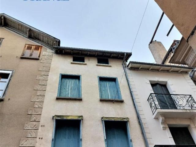 Villefranche de Rouergue Vente Immeuble 12
