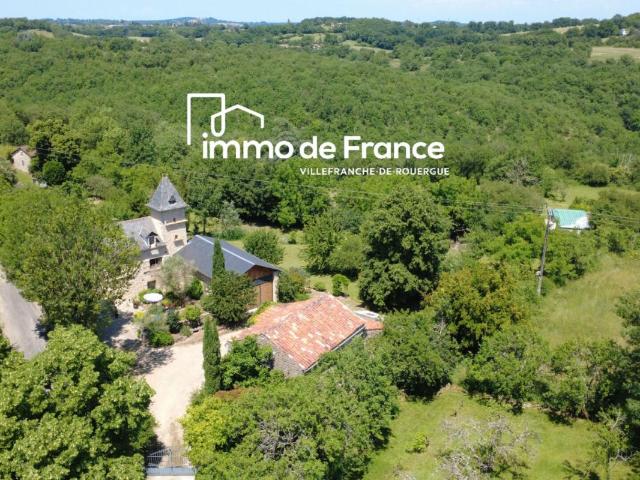 Villefranche de Rouergue Vente Propriété/château 12
