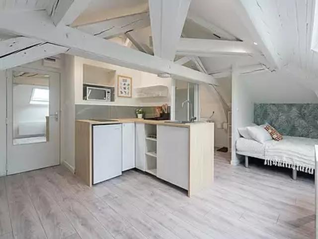 Villefranche sur Saône 69400 Location appartement 1 pièce t1 au dernier étage