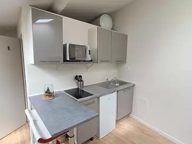 Villefranche sur Saône 69400 Location appartement 1 pièce t1 au dernier étage