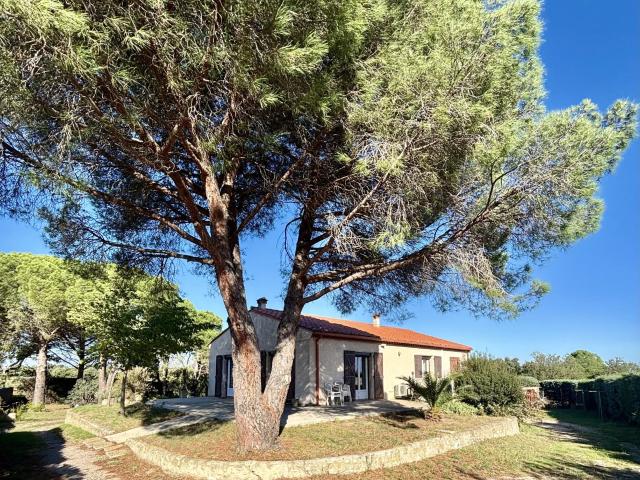 Villelongue dels Monts Vente Maison 66