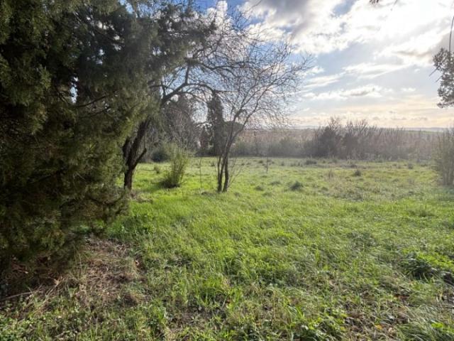 Villepinte Vente Terrain 11