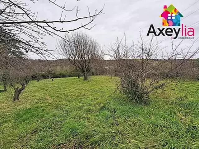 Villerest 42300 Achat / Vente terrain
