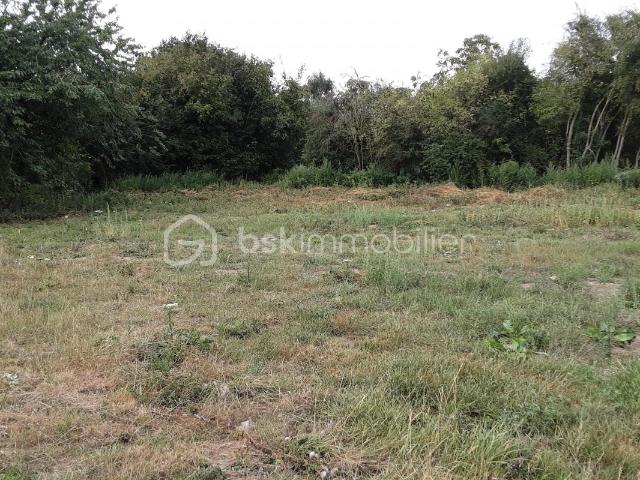 Villers au Bois Vente Terrain 62