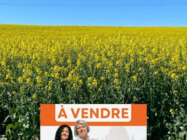 Villers devant le Thour Vente Terrain 08