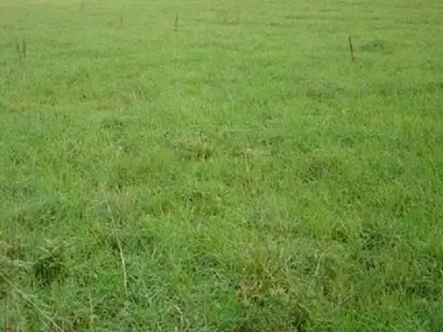 Villers en Ouche 61550 Programme neuf terrain neuf à vendre