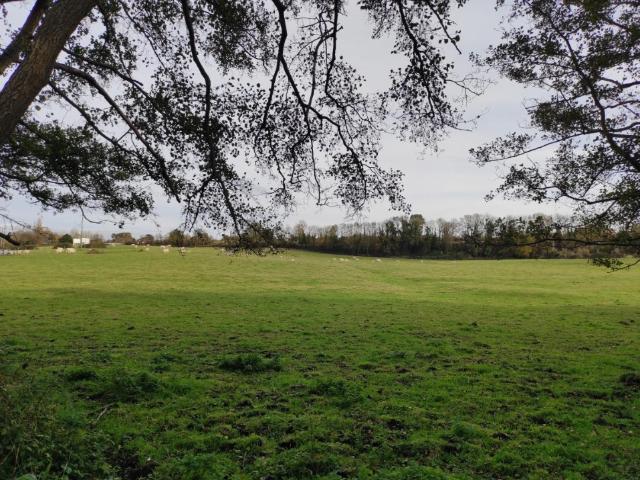Villers sur Mer Vente Terrain 14