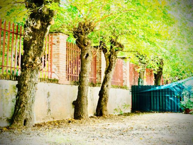 Villetta a schiera in vendita a Cuneo CN