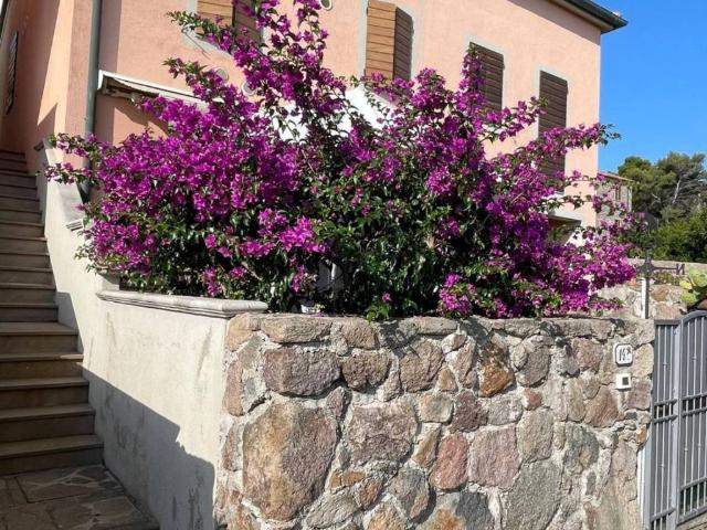 Villetta a schiera in vendita a Capraia Isola LI