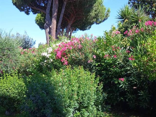 Villetta a schiera in vendita a Follonica GR