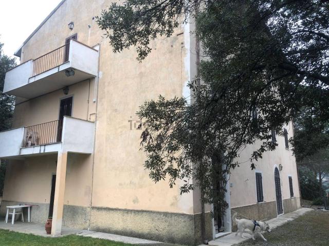 Villetta a schiera in vendita di 600 m²