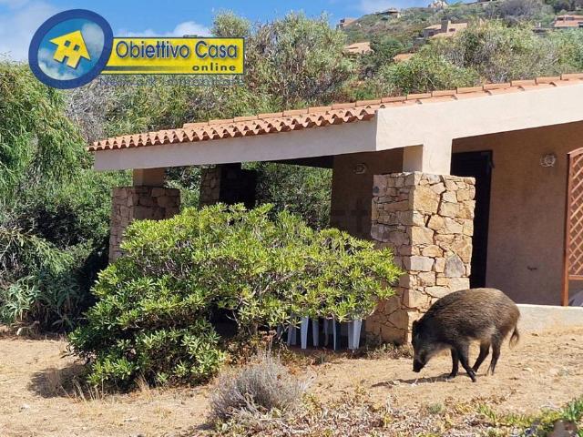Villetta a schiera in vendita di 60 m² in Via Alitarru