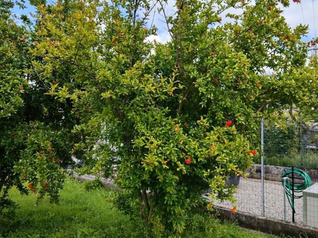 Villetta a schiera in vendita di 105 m² in Via G. Matteotti, 10