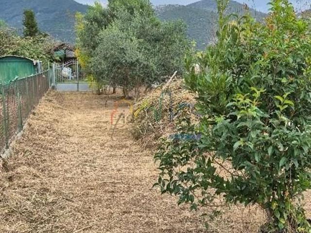 Villetta a schiera in vendita di 110 m² in Via Ulisse Dini Gello, 47