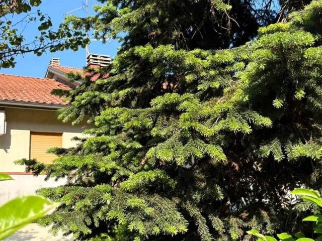 Villetta a schiera in vendita di 160 m²
