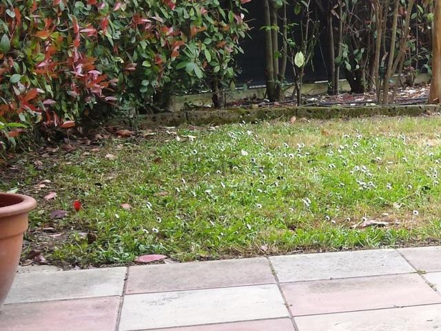Villetta a schiera in vendita di 180 m² in Via Luigi Stefanini