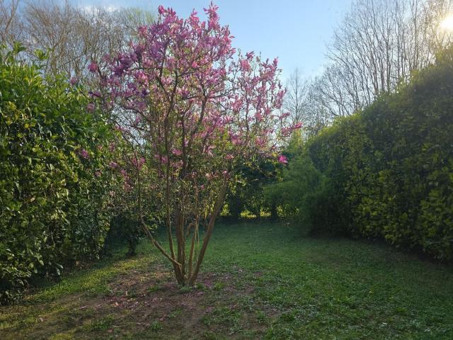 Villetta a schiera in vendita di 195 m² in Via Montà