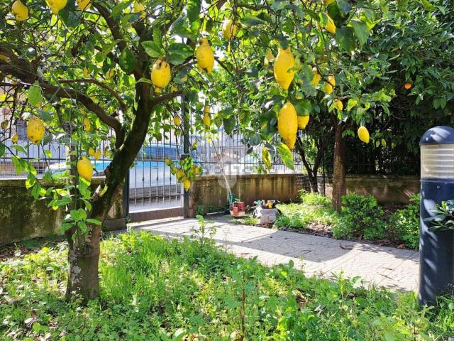 Villetta a schiera in vendita di 210 m² in Via Caprarelle, 17