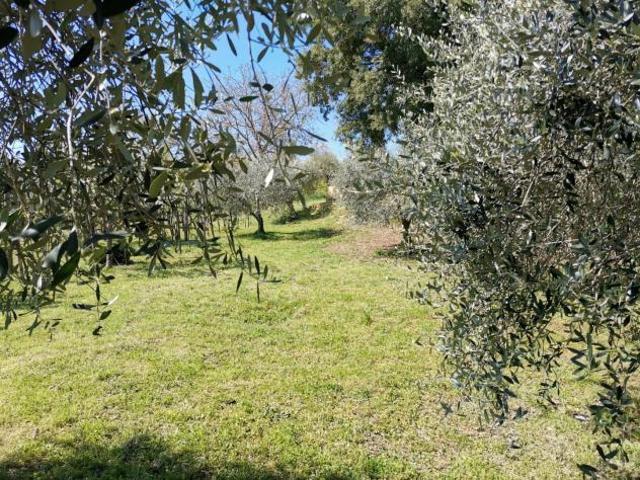 Villetta bifamiliare in vendita a Le Grazie Colle di Val d'Elsa 200 mq Rif: 1406362