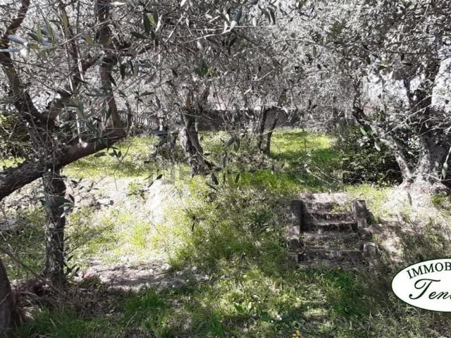 Villetta bifamiliare in vendita di 195 m²