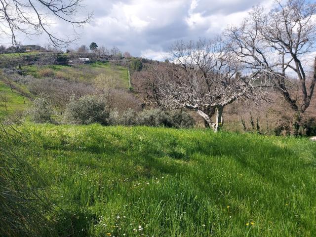 Villetta bifamiliare in vendita di 120 m² in Strada della Fabbreccia
