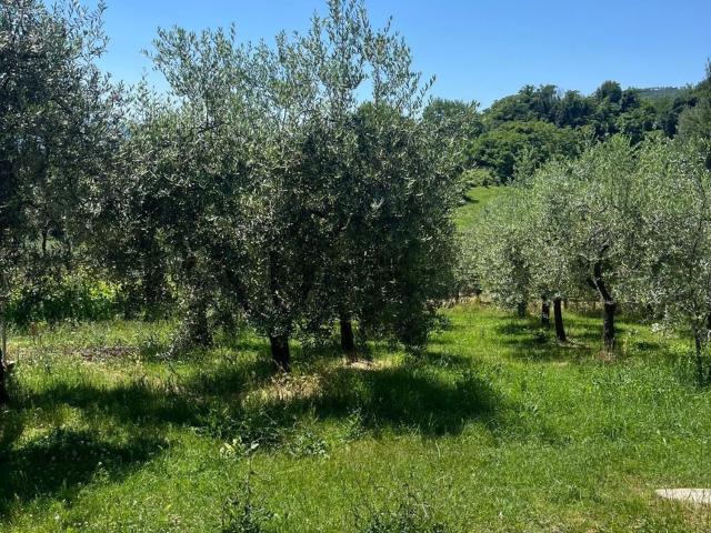 Villetta bifamiliare in vendita di 200 m² in Strada di Morellino, 99