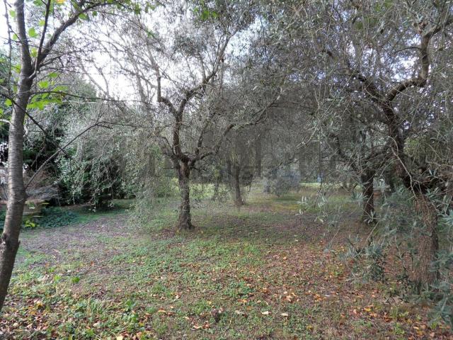 Villetta bifamiliare in vendita di 220 m² in Via Sarzanese, 3135