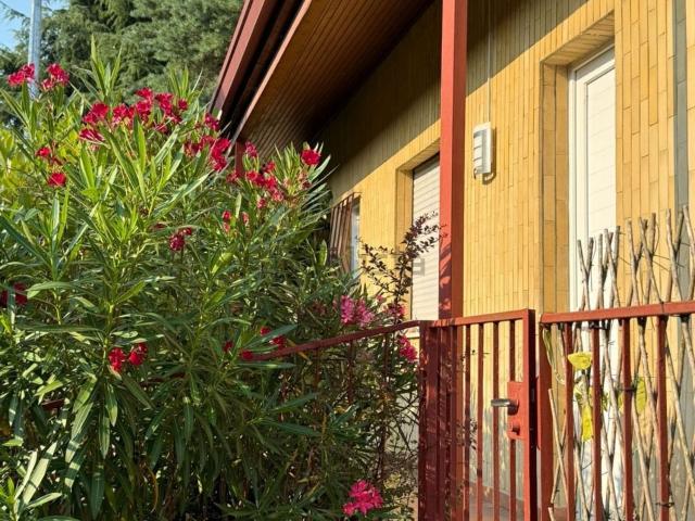 Villetta bifamiliare in vendita di 75 m² in Via Ticino Panni
