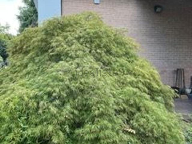 Villetta bifamiliare in vendita di 700 m² in Via Benedetto Croce