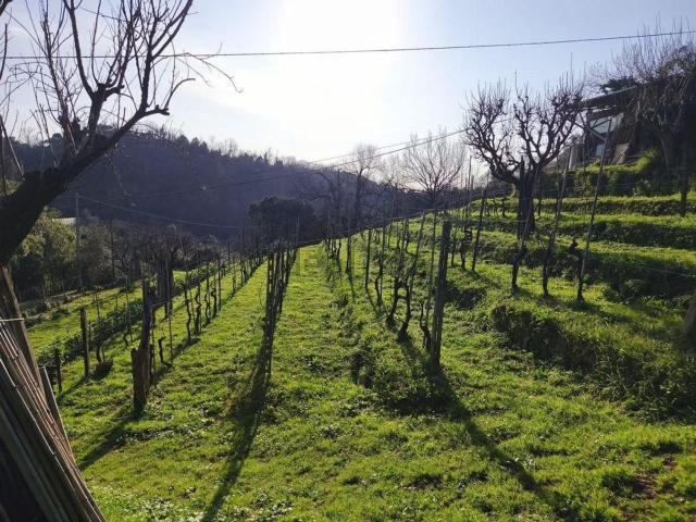 Villetta bifamiliare in vendita di 90 m² in Via Ficola