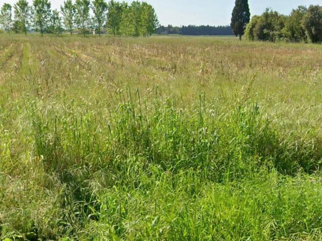 Villetta in vendita a San Giuliano Terme