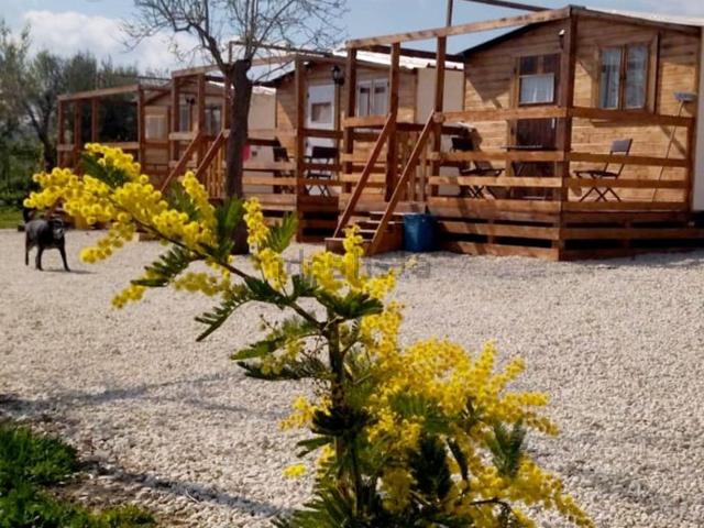 Villetta indipendente in affitto di 24 m² in Strada Provinciale 15 Noto Avola