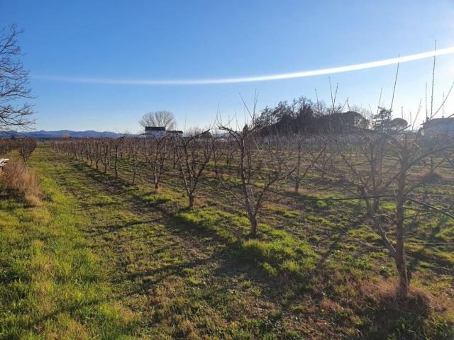 Villetta indipendente in vendita di 400 m² in Via Chiesa Pievesestina